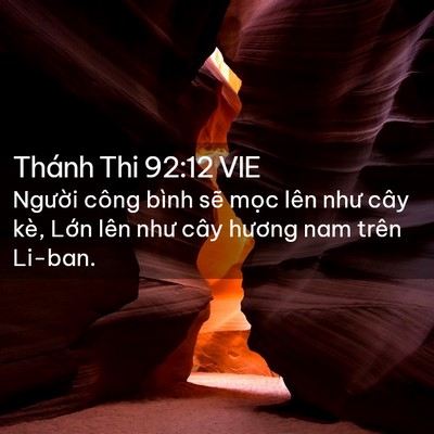 Picture 02 - Thánh Thi 92:12 VIE - Người công bình sẽ mọc lên như cây - Bible Verse Picture