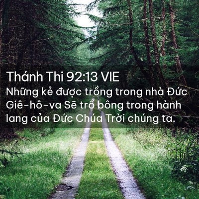 Picture 02 - Thánh Thi 92:13 VIE - Những kẻ được trồng trong nhà Đức - Bible Verse Picture