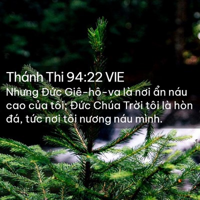Picture 02 - Thánh Thi 94:22 VIE - Nhưng Đức Giê-hô-va là nơi ẩn náu cao - Bible Verse Picture