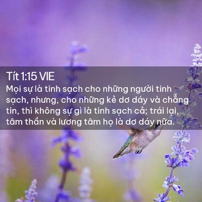 Picture 02 - Tít 1:15 VIE - Mọi sự là tinh sạch cho những người - Bible Verse Picture