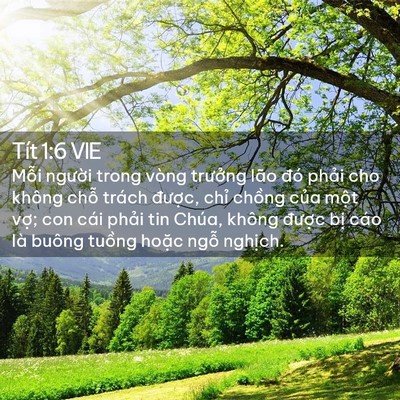 Picture 02 - Tít 1:6 VIE - Mỗi người trong vòng trưởng lão đó - Bible Verse Picture