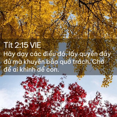 Picture 02 - Tít 2:15 VIE - Hãy dạy các điều đó, lấy quyền - Bible Verse Picture