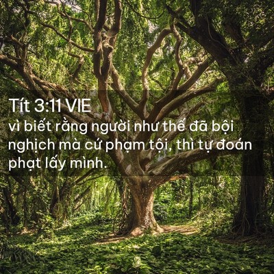 Picture 02 - Tít 3:11 VIE - vì biết rằng người như thế đã bội - Bible Verse Picture