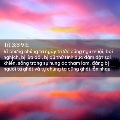 Picture 02 - Tít 3:3 VIE - Vì chưng chúng ta ngày trước cũng ngu - Bible Verse Picture