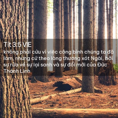 Picture 02 - Tít 3:5 VIE - không phải cứu vì việc công bình chúng - Bible Verse Picture