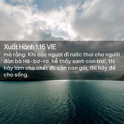 Picture 02 - Xuất Hành 1:16 VIE - mà rằng: Khi các ngươi đi rước thai cho - Bible Verse Picture