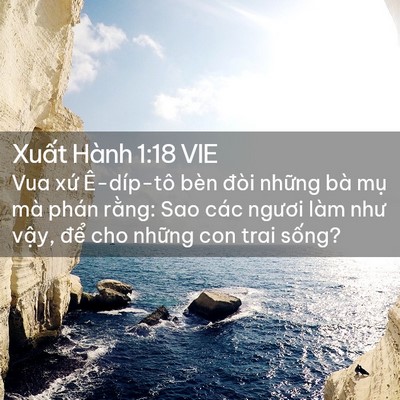 Picture 02 - Xuất Hành 1:18 VIE - Vua xứ Ê-díp-tô bèn đòi những bà mụ - Bible Verse Picture
