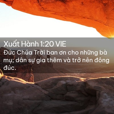 Picture 02 - Xuất Hành 1:20 VIE - Đức Chúa Trời ban ơn cho những bà mụ; - Bible Verse Picture