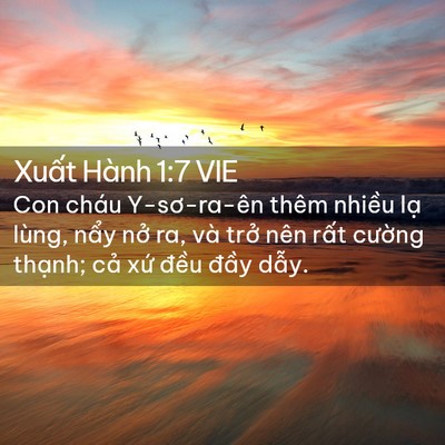 Picture 02 - Xuất Hành 1:7 VIE - Con cháu Y-sơ-ra-ên thêm nhiều lạ lùng, - Bible Verse Picture