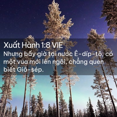 Picture 02 - Xuất Hành 1:8 VIE - Nhưng bấy giờ tại nước Ê-díp-tô, có - Bible Verse Picture