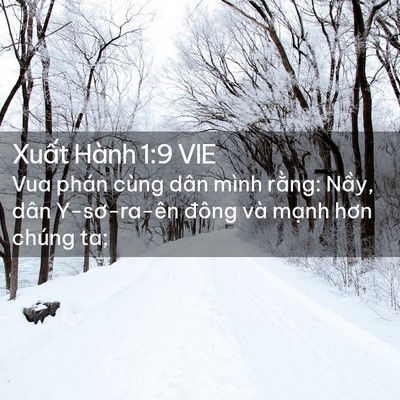 Picture 02 - Xuất Hành 1:9 VIE - Vua phán cùng dân mình rằng: Nầy, dân - Bible Verse Picture