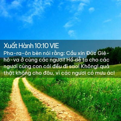 Picture 02 - Xuất Hành 10:10 VIE - Pha-ra-ôn bèn nói rằng: Cầu xin Đức - Bible Verse Picture