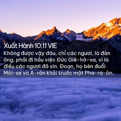 Picture 02 - Xuất Hành 10:11 VIE - Không được vậy đâu, chỉ các ngươi, - Bible Verse Picture