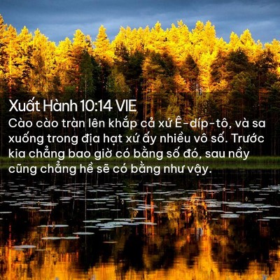 Picture 02 - Xuất Hành 10:14 VIE - Cào cào tràn lên khắp cả xứ - Bible Verse Picture