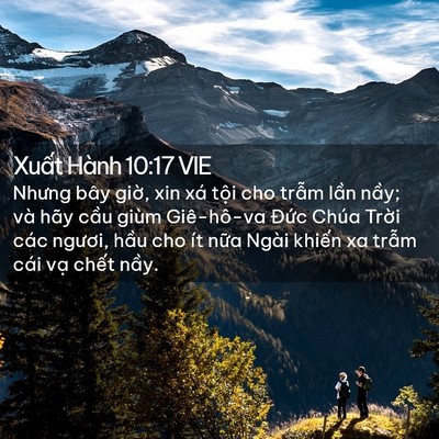 Picture 02 - Xuất Hành 10:17 VIE - Nhưng bây giờ, xin xá tội cho trẫm lần - Bible Verse Picture