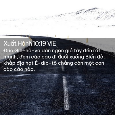 Picture 02 - Xuất Hành 10:19 VIE - Đức Giê-hô-va dẫn ngọn gió tây đến - Bible Verse Picture