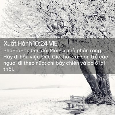 Picture 02 - Xuất Hành 10:24 VIE - Pha-ra-ôn bèn đòi Môi-se mà phán rằng: - Bible Verse Picture
