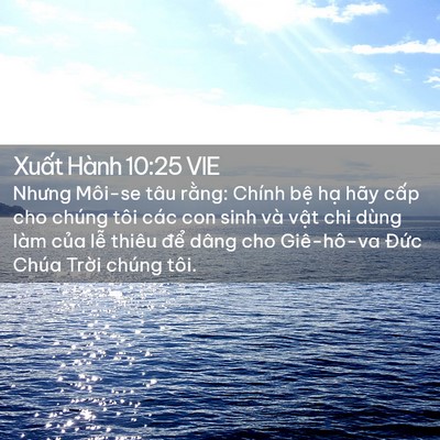 Picture 02 - Xuất Hành 10:25 VIE - Nhưng Môi-se tâu rằng: Chính bệ hạ hãy - Bible Verse Picture