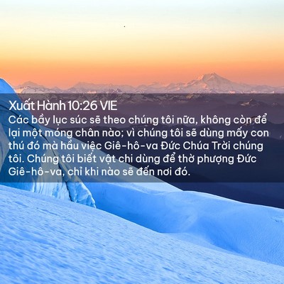 Picture 02 - Xuất Hành 10:26 VIE - Các bầy lục súc sẽ theo chúng tôi - Bible Verse Picture