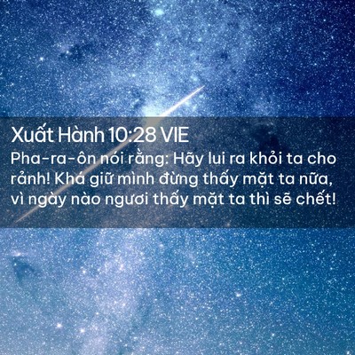 Picture 02 - Xuất Hành 10:28 VIE - Pha-ra-ôn nói rằng: Hãy lui ra khỏi ta cho - Bible Verse Picture