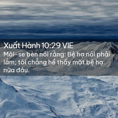 Picture 02 - Xuất Hành 10:29 VIE - Môi-se bèn nói rằng: Bệ hạ nói phải - Bible Verse Picture