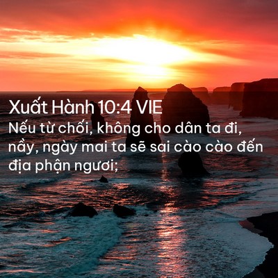Picture 02 - Xuất Hành 10:4 VIE - Nếu từ chối, không cho dân ta đi, nầy, - Bible Verse Picture