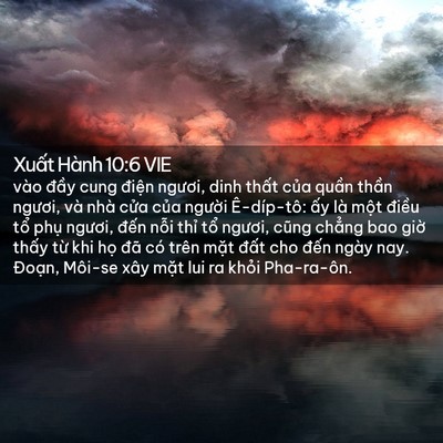 Picture 02 - Xuất Hành 10:6 VIE - vào đầy cung điện ngươi, dinh thất - Bible Verse Picture
