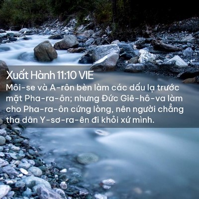 Picture 02 - Xuất Hành 11:10 VIE - Môi-se và A-rôn bèn làm các dấu lạ - Bible Verse Picture