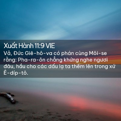Picture 02 - Xuất Hành 11:9 VIE - Vả, Đức Giê-hô-va có phán cùng Môi-se - Bible Verse Picture