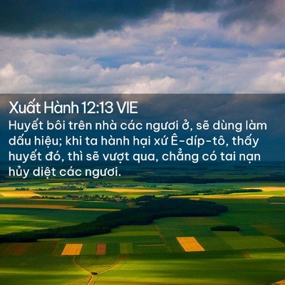 Picture 02 - Xuất Hành 12:13 VIE - Huyết bôi trên nhà các ngươi ở, sẽ - Bible Verse Picture