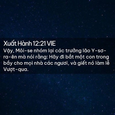 Picture 02 - Xuất Hành 12:21 VIE - Vậy, Môi-se nhóm lại các trưởng lão - Bible Verse Picture