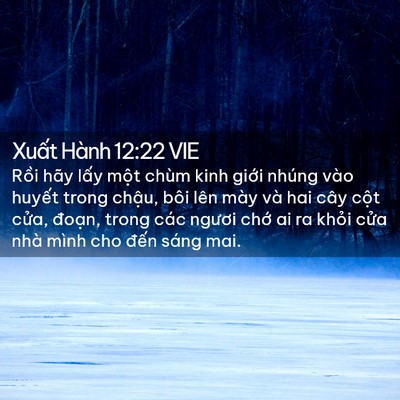 Picture 02 - Xuất Hành 12:22 VIE - Rồi hãy lấy một chùm kinh giới nhúng - Bible Verse Picture