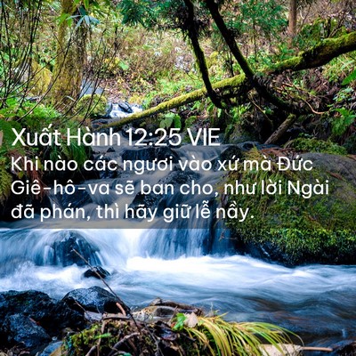 Picture 02 - Xuất Hành 12:25 VIE - Khi nào các ngươi vào xứ mà Đức - Bible Verse Picture