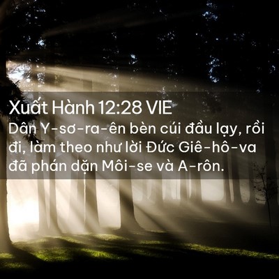 Picture 02 - Xuất Hành 12:28 VIE - Dân Y-sơ-ra-ên bèn cúi đầu lạy, rồi - Bible Verse Picture