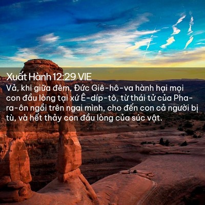 Picture 02 - Xuất Hành 12:29 VIE - Vả, khi giữa đêm, Đức Giê-hô-va hành - Bible Verse Picture