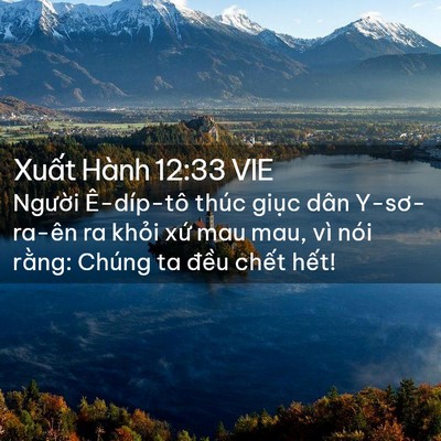 Picture 02 - Xuất Hành 12:33 VIE - Người Ê-díp-tô thúc giục dân - Bible Verse Picture