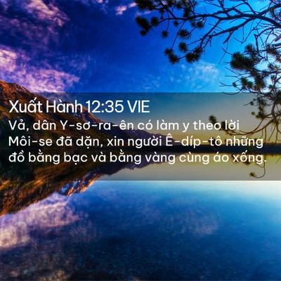 Picture 02 - Xuất Hành 12:35 VIE - Vả, dân Y-sơ-ra-ên có làm y theo lời - Bible Verse Picture