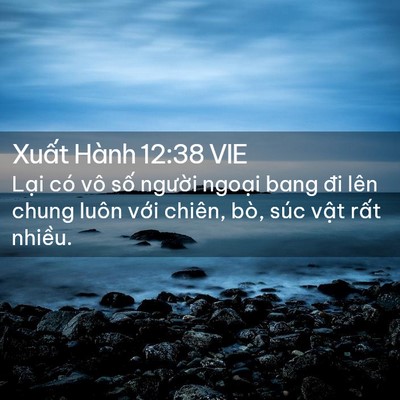 Picture 02 - Xuất Hành 12:38 VIE - Lại có vô số người ngoại bang đi lên - Bible Verse Picture