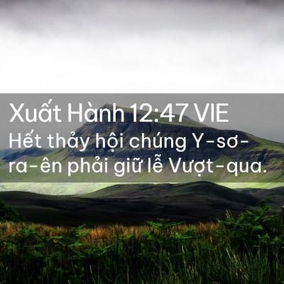 Picture 02 - Xuất Hành 12:47 VIE - Hết thảy hội chúng Y-sơ-ra-ên phải - Bible Verse Picture