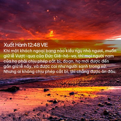 Picture 02 - Xuất Hành 12:48 VIE - Khi một khách ngoại bang nào kiều ngụ - Bible Verse Picture