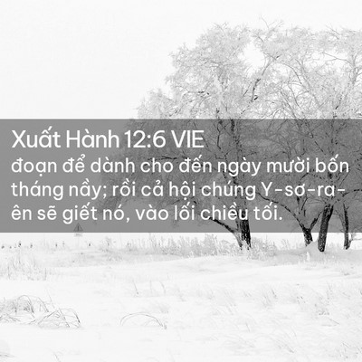 Picture 02 - Xuất Hành 12:6 VIE - đoạn để dành cho đến ngày mười - Bible Verse Picture