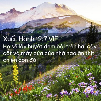 Picture 02 - Xuất Hành 12:7 VIE - Họ sẽ lấy huyết đem bôi trên hai cây - Bible Verse Picture