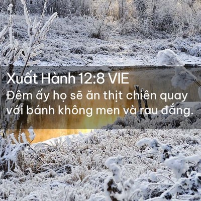 Picture 02 - Xuất Hành 12:8 VIE - Đêm ấy họ sẽ ăn thịt chiên quay với - Bible Verse Picture