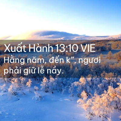 Picture 02 - Xuất Hành 13:10 VIE - Hằng năm, đến k”, ngươi phải giữ - Bible Verse Picture