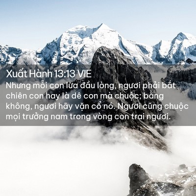 Picture 02 - Xuất Hành 13:13 VIE - Nhưng mỗi con lừa đầu lòng, ngươi - Bible Verse Picture