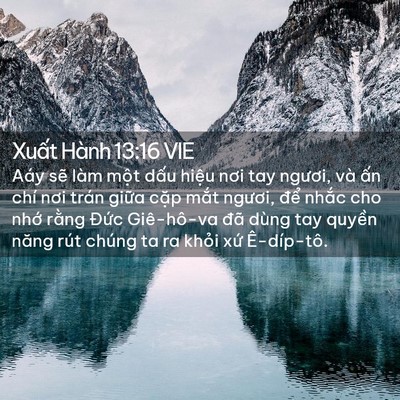 Picture 02 - Xuất Hành 13:16 VIE - Aáy sẽ làm một dấu hiệu nơi tay - Bible Verse Picture