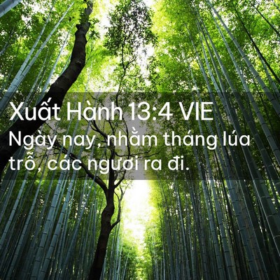 Picture 02 - Xuất Hành 13:4 VIE - Ngày nay, nhằm tháng lúa trỗ, các ngươi - Bible Verse Picture