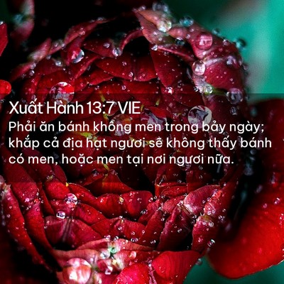 Picture 02 - Xuất Hành 13:7 VIE - Phải ăn bánh không men trong bảy ngày; - Bible Verse Picture