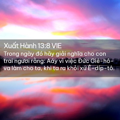 Picture 02 - Xuất Hành 13:8 VIE - Trong ngày đó hãy giải nghĩa cho con trai - Bible Verse Picture