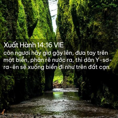 Picture 02 - Xuất Hành 14:16 VIE - còn ngươi hãy giơ gậy lên, đưa tay - Bible Verse Picture